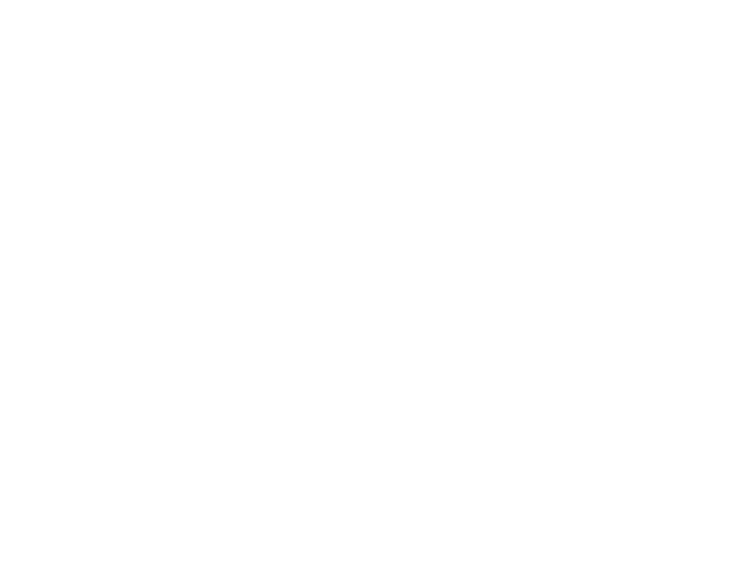 Capital Software S,A