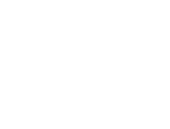 Capital Software S,A